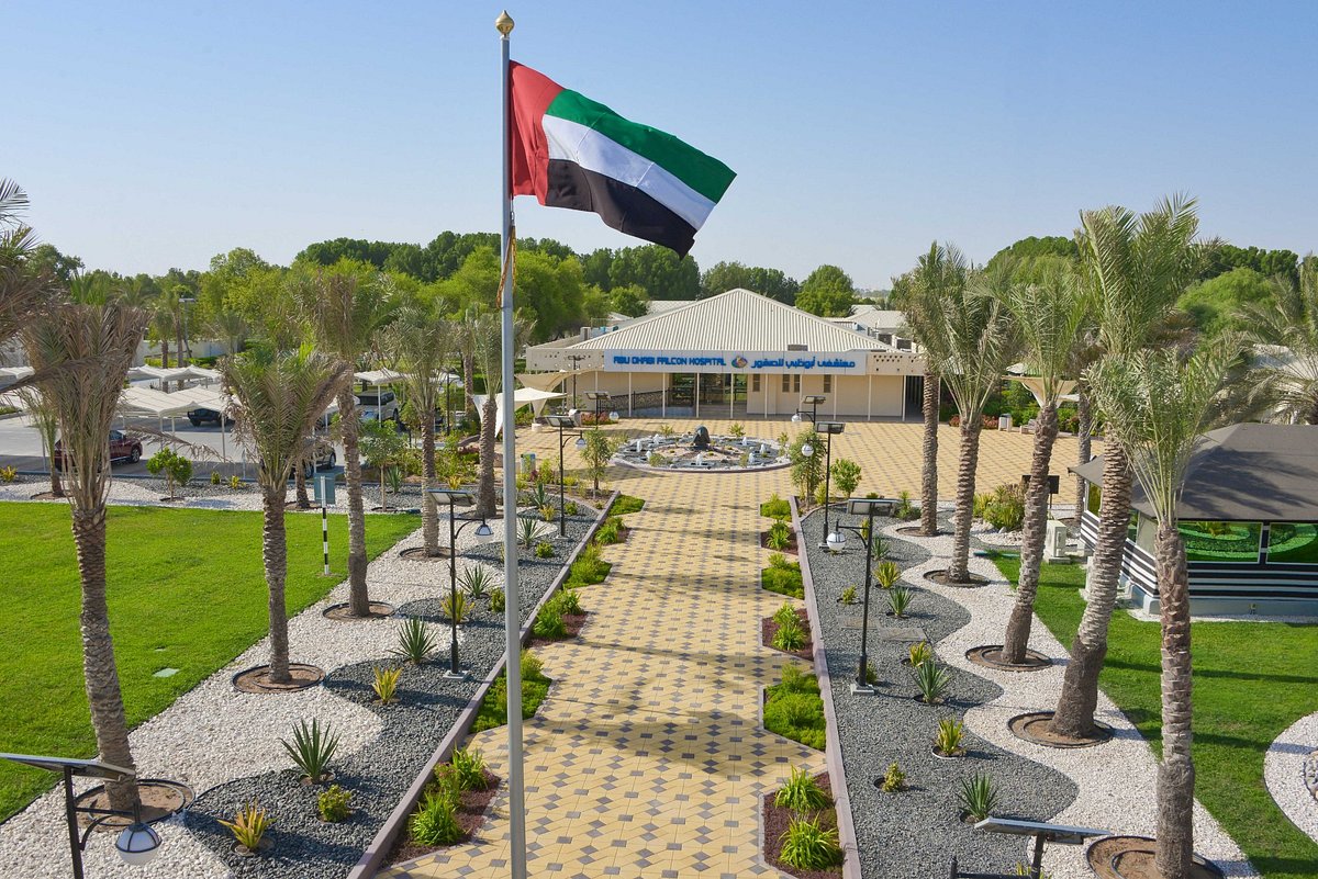 Abu Dhabi Falcon Hospital - Best Things to do in Abu Dhabi