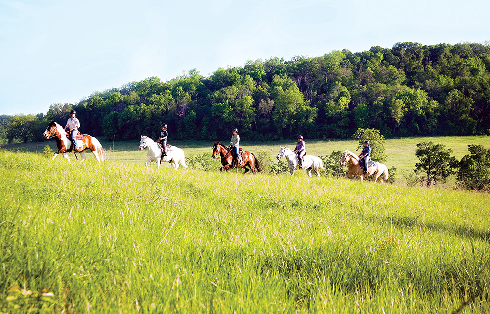 Shenandoah Riding Center - Things to Do in Galena